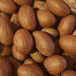 Bitter Kola Nut Garcinia (9)